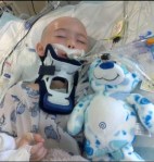 Barrett Sturgill 2 Survivor 060115