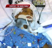 Brazyl Ward 1 060215