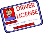 drivers-license-621806
