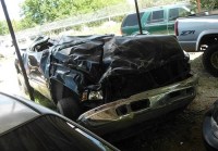 Powell, Shanna Wolf Heart Survivor 062715 2