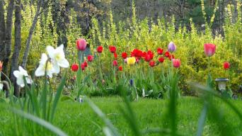 12248573_10206516855973739_1693909187_o